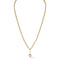 Solid Gold Rolo Chain Necklace