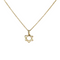 Star of David Necklace