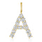Diamond Initial Charm