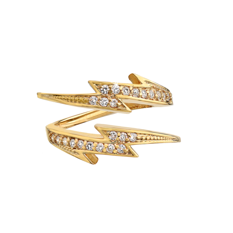 Double Bolt Ring
